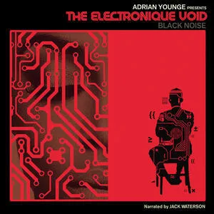 The electronique vouid : black noise